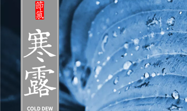 NG南宫电子游戏- 相信品牌的力量